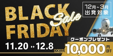 ブラックフライデーセール 11月20日～12月8日　MAX10,000円OFFクーポンプレゼント！