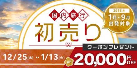 初売りセール12/25から1/13まで最大20,000円OFFクーポンプレゼント！
