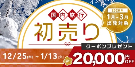 初売りセール12/25から1/13まで最大20,000円OFFクーポンプレゼント！